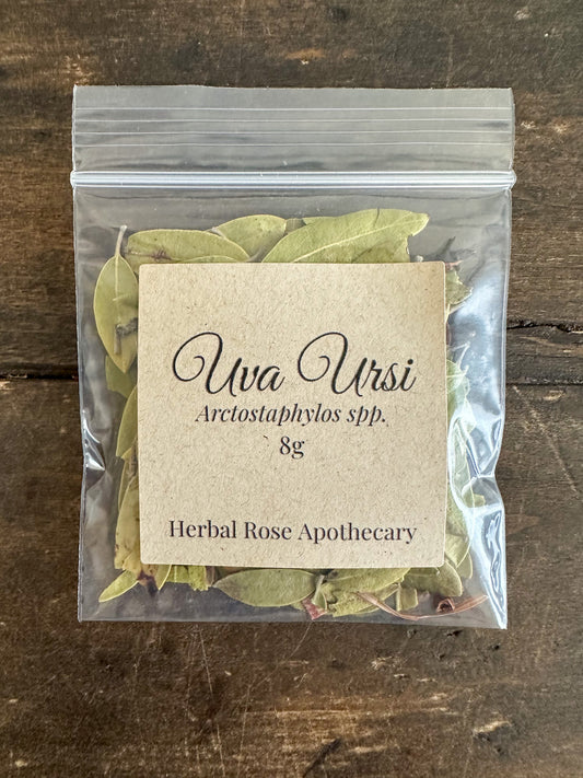 Dried uva ursi leaf botanical ingredient for tea and apothecary use