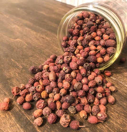 hawthorn berries up close in mason jar spilling out onto wooden desk