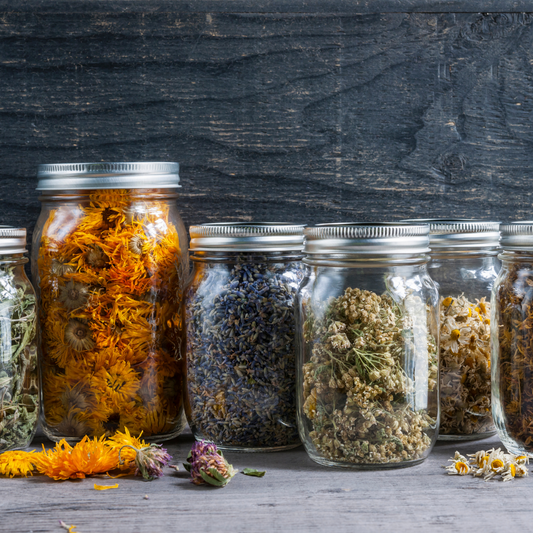 What You Need to Know About Herbal Medicine