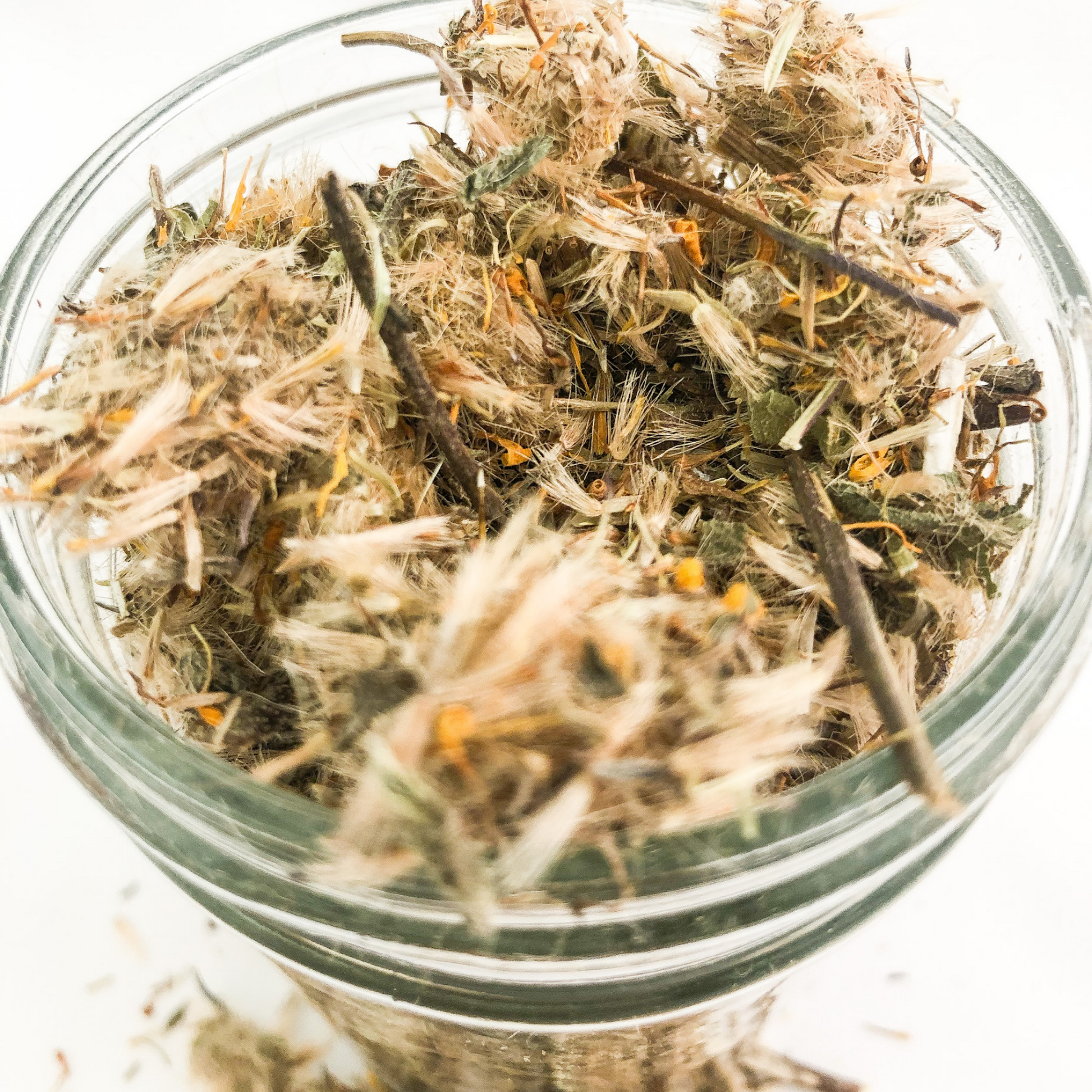 unclose image of dried arnica flowers in a clear jar with white background