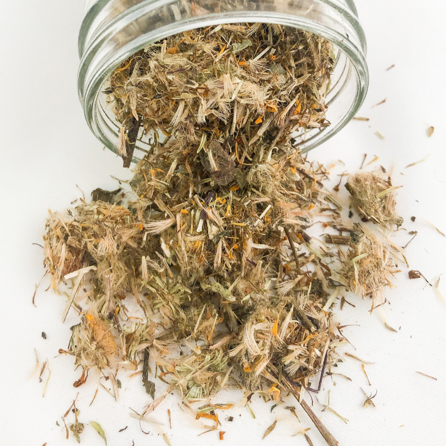 unclose image of dried arnica spilling out a clear glass jar with white background