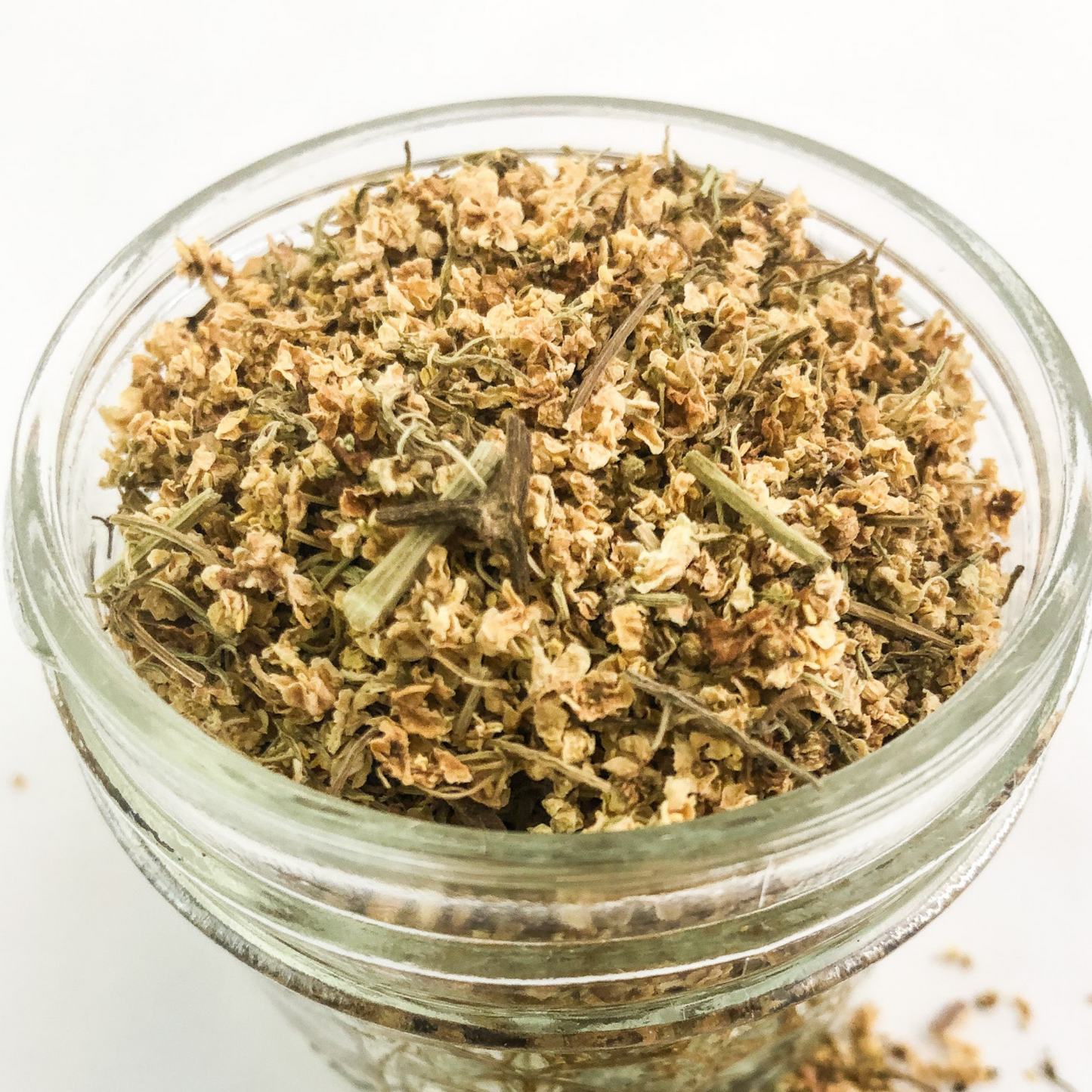 upclose image of dried elderflowers in a mason jar with white background